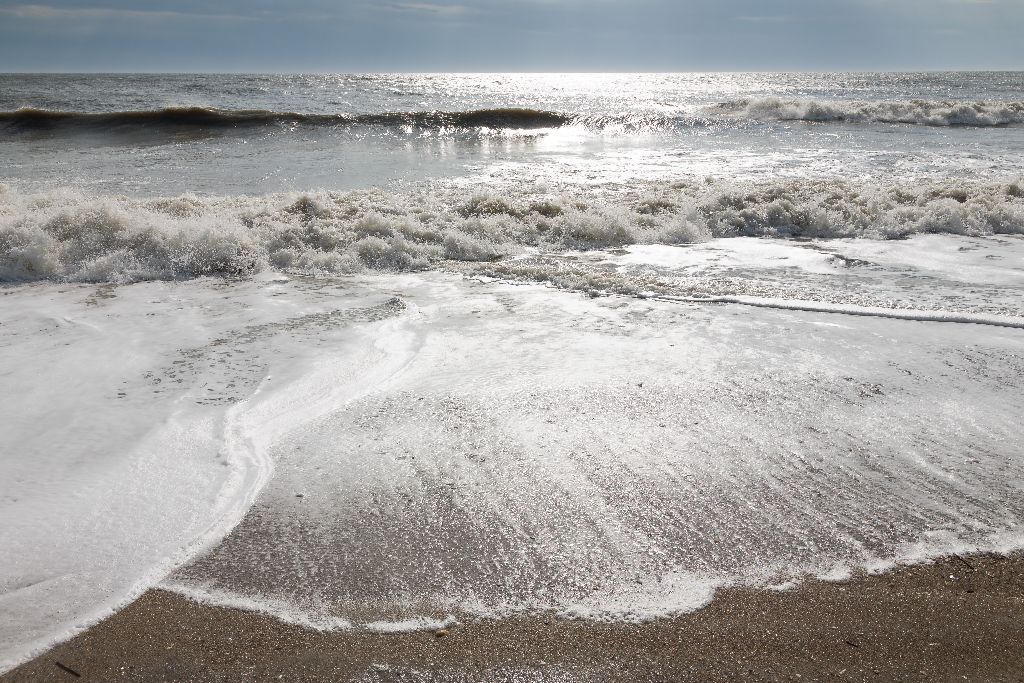 Edisto Island Beach Surf