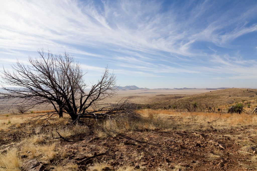 Texas Sky, Fort Davis