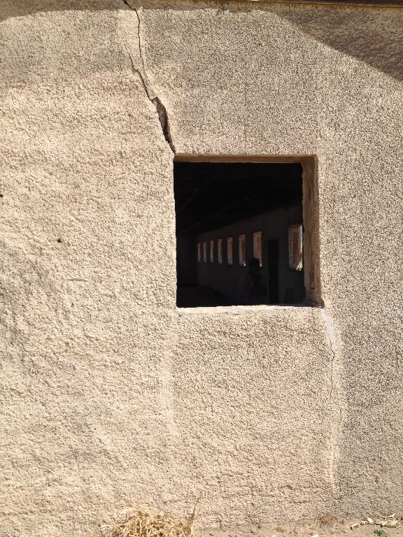 Windows, Marfa Arizona